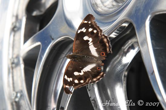 1000Km Nuerburgring 2007 - Fahrerlager 30