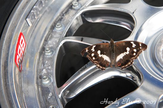 1000Km Nuerburgring 2007 - Fahrerlager 31