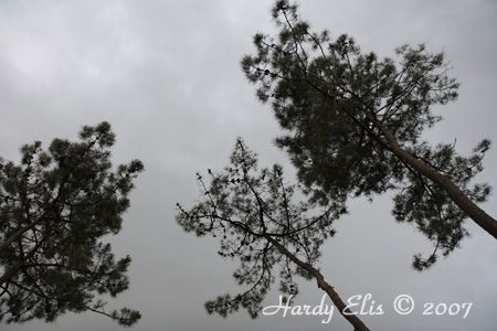 24h-LeMans2007 - Drumherum Mi 27