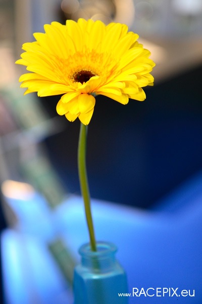 Motorshow Essen 2007 - 106