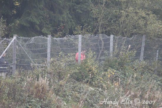 VLN 14-10-2006 01 Pflanzgarten 084