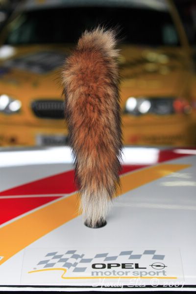 VLN 18-08-2007 01 Boxengasse 32