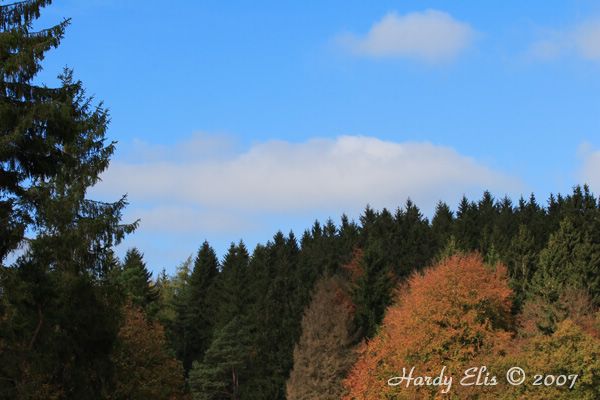 VLN 13-10-2007 04 Wippermann 046