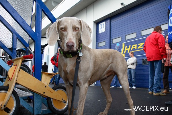 VLN-07 2008-07-19 01 Fahrerlager IMG_0164