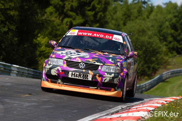 VLN-07 2008-07-19 05 Pflanzgarten Sprunghuegel IMG_1304