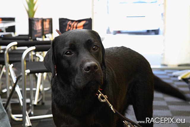 VLN-09 2008-10-10 Freitagstest IMG_0019