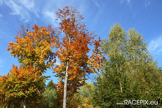 VLN-09 2008-10-11 02 Start Bruennchen IMG_0295