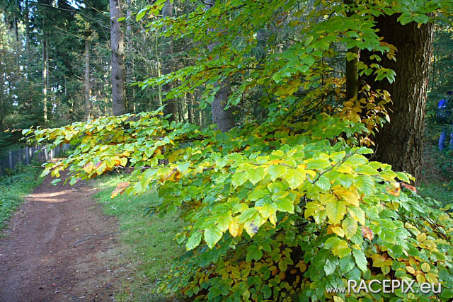 VLN-09 2008-10-11 02 Start Bruennchen IMG_0297