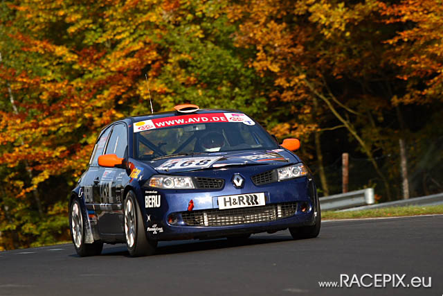 VLN-09 2008-10-11 04 Pflanzgarten IMG_1209