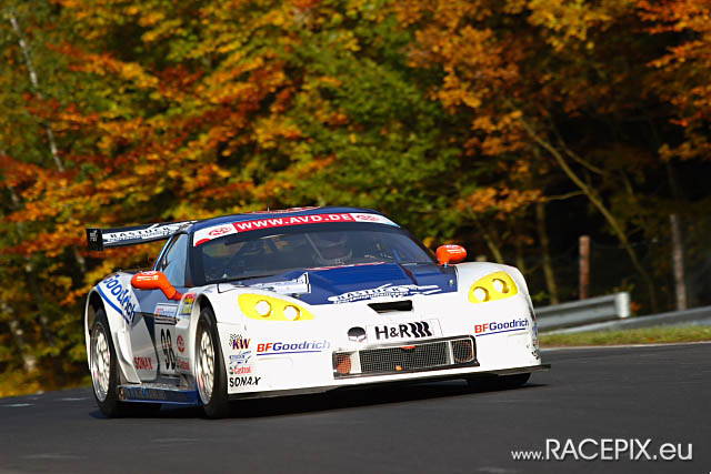 VLN-09 2008-10-11 04 Pflanzgarten IMG_1223