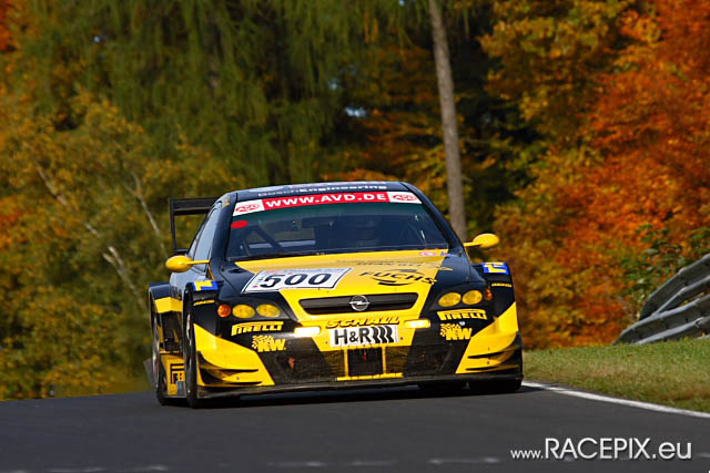 VLN-09 2008-10-11 04 Pflanzgarten IMG_1274