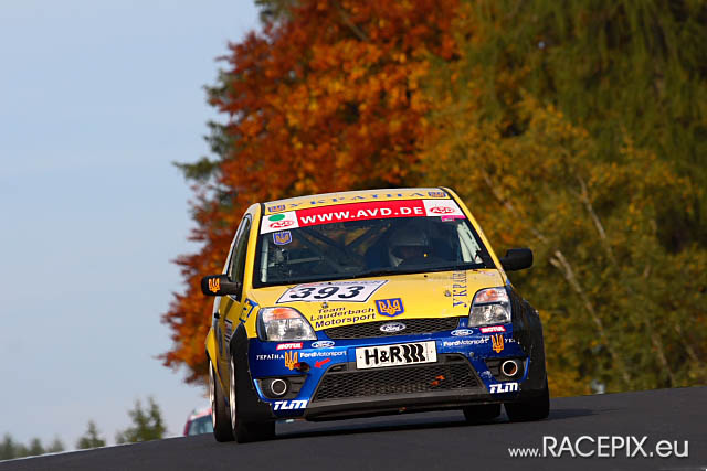 VLN-09 2008-10-11 04 Pflanzgarten IMG_1333