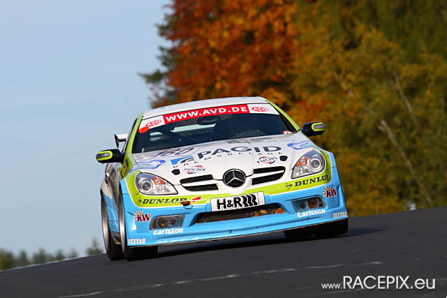 VLN-09 2008-10-11 04 Pflanzgarten IMG_1361