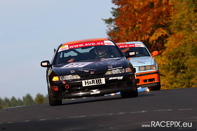 VLN-09 2008-10-11 04 Pflanzgarten IMG_1414