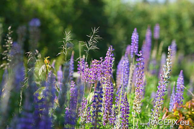 2009-06-13 VLN-04 IMG_0589