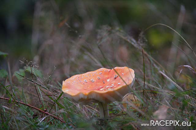 2009-10-03 VLN-08 IMG_0686