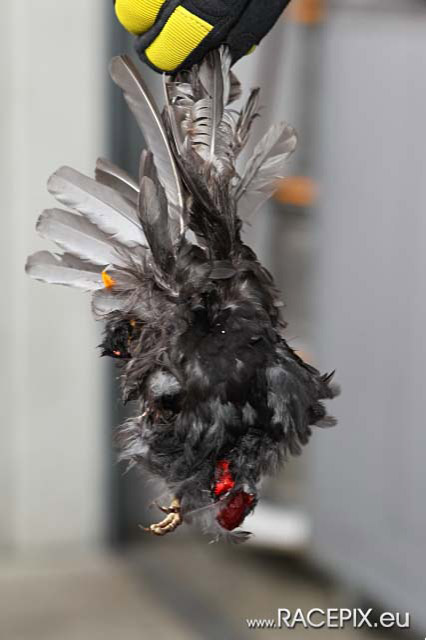 2010-06-12 VLN-04 0091