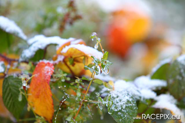 2012-10-27 VLN10 0103 wwwRACEPIXeu