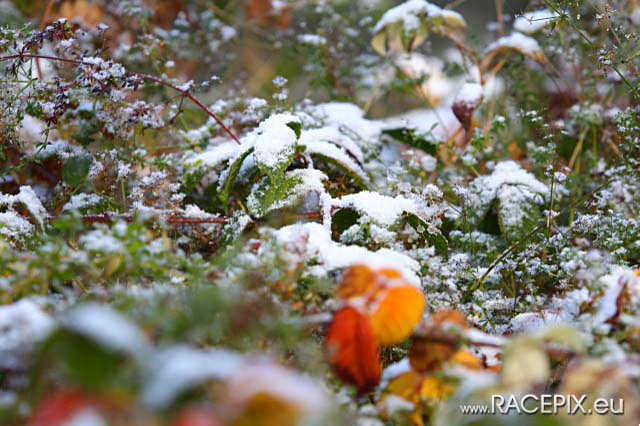 2012-10-27 VLN10 0104 wwwRACEPIXeu