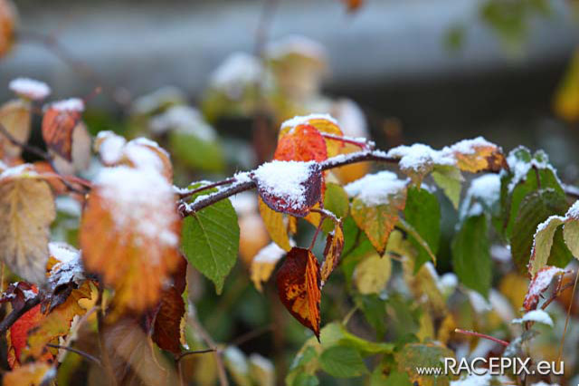 2012-10-27 VLN10 0110 wwwRACEPIXeu